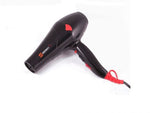 Sayona Hair Dryer